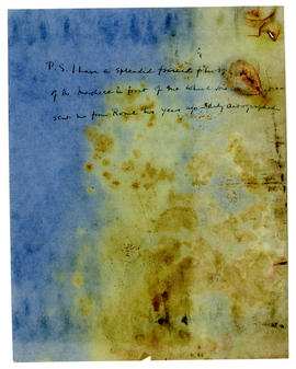 image 02
