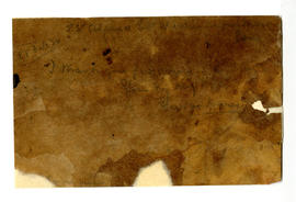 image 01