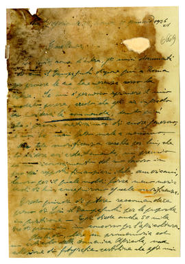 image 01