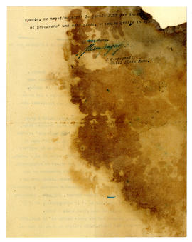 image 02