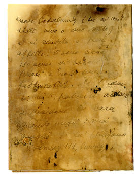 image 02