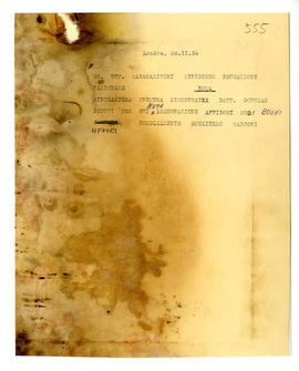 image 01