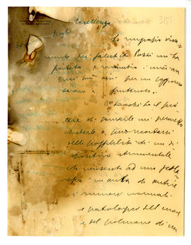 image 01