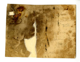 image 02