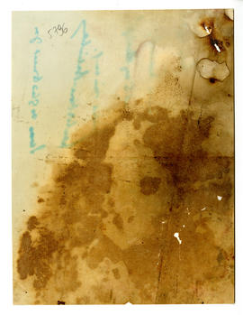image 02