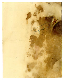 image 02
