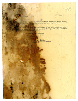 image 02