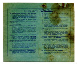 image 02