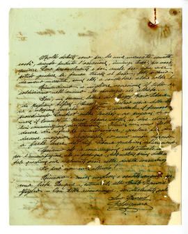 image 02