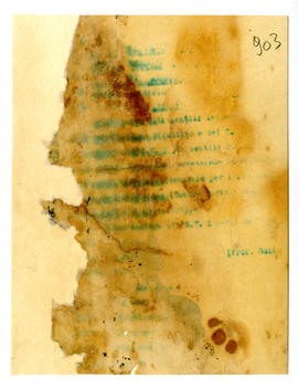 image 01
