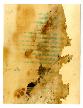 image 02