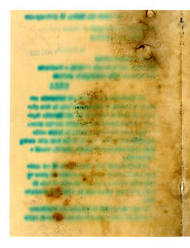 image 02