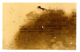 image 01