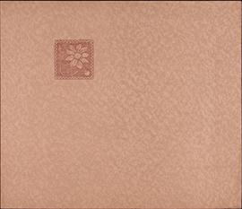 image 01
