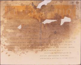 image 01