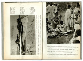 image 04