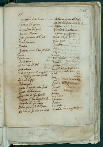 Open original Oggetto digitale