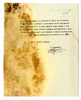 image 02