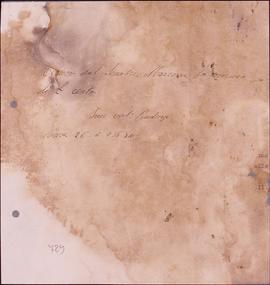 image 01