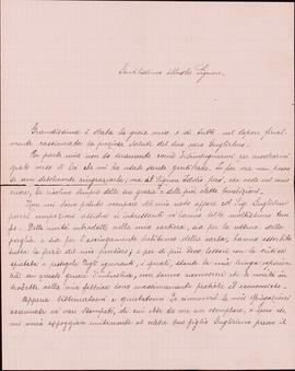 image 01