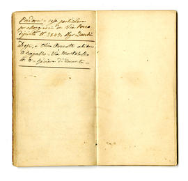 image 06