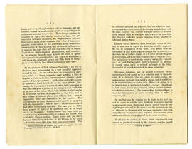 image 03