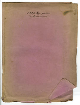 image 01