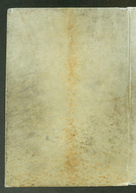 412 - Piatto posteriore
