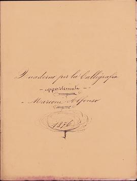 image 01