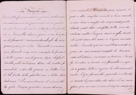 image 02