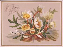 image 02