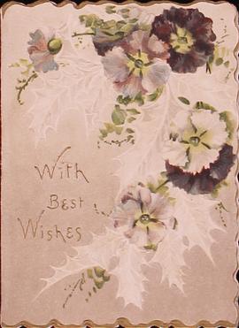 image 01