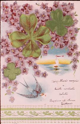 image 01