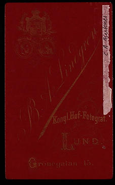 Bjerknes Carl Anton, ritratto