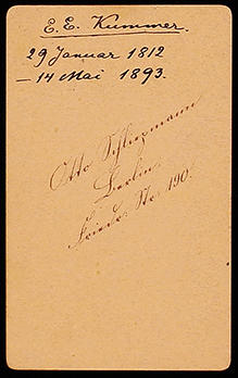 Kummer Ernst Eduard, ritratto